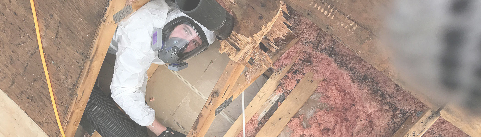eco insulation removal